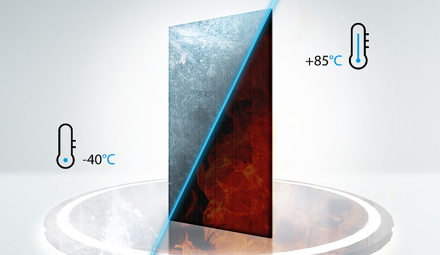 Q-Cells-times-from-the-south-pole-to-the-Sahara-and-back