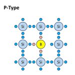 celle-P-type celle-P-type